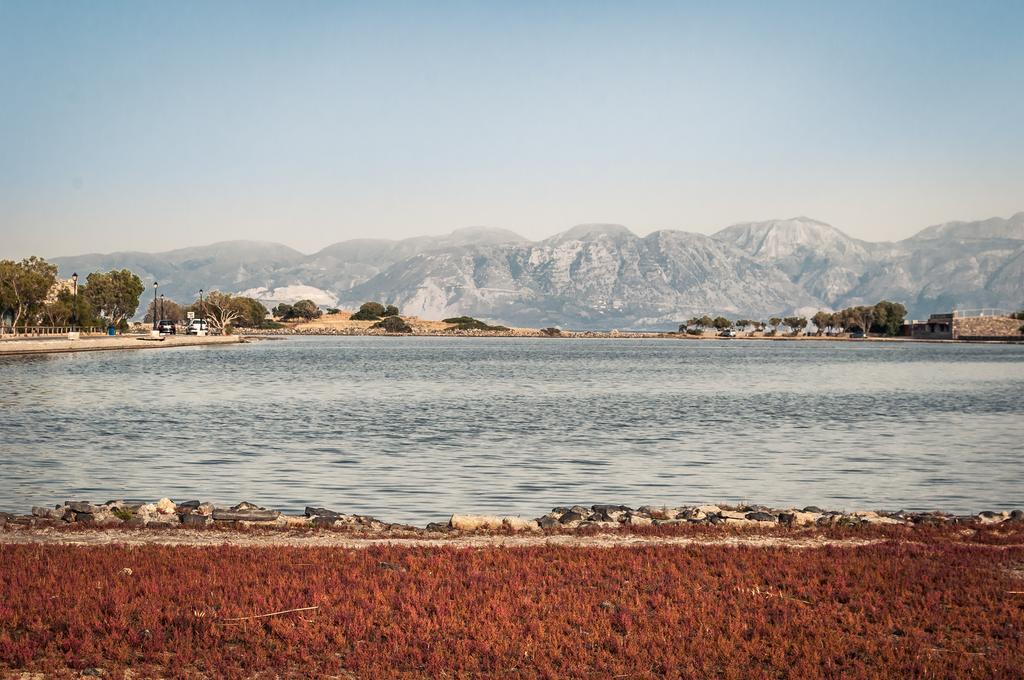 Elounda Olive Garden Apts & Studios Экстерьер фото