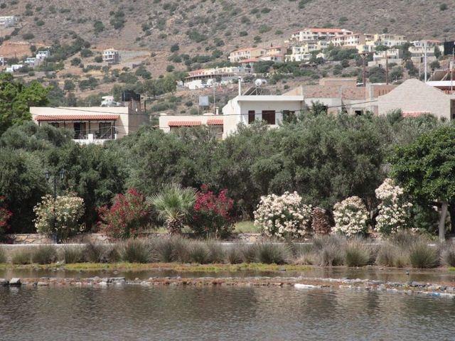Elounda Olive Garden Apts & Studios Экстерьер фото