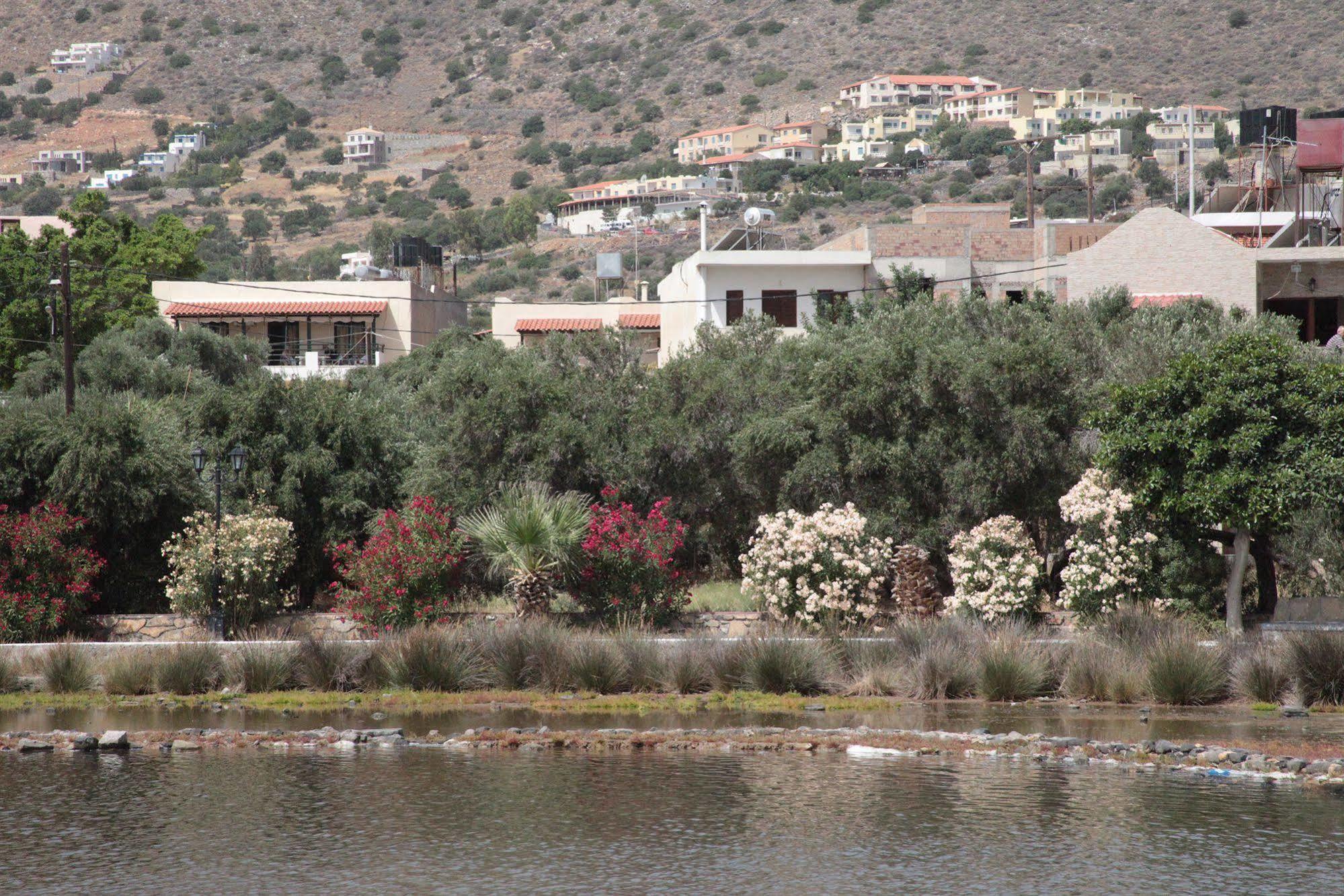 Elounda Olive Garden Apts & Studios Экстерьер фото