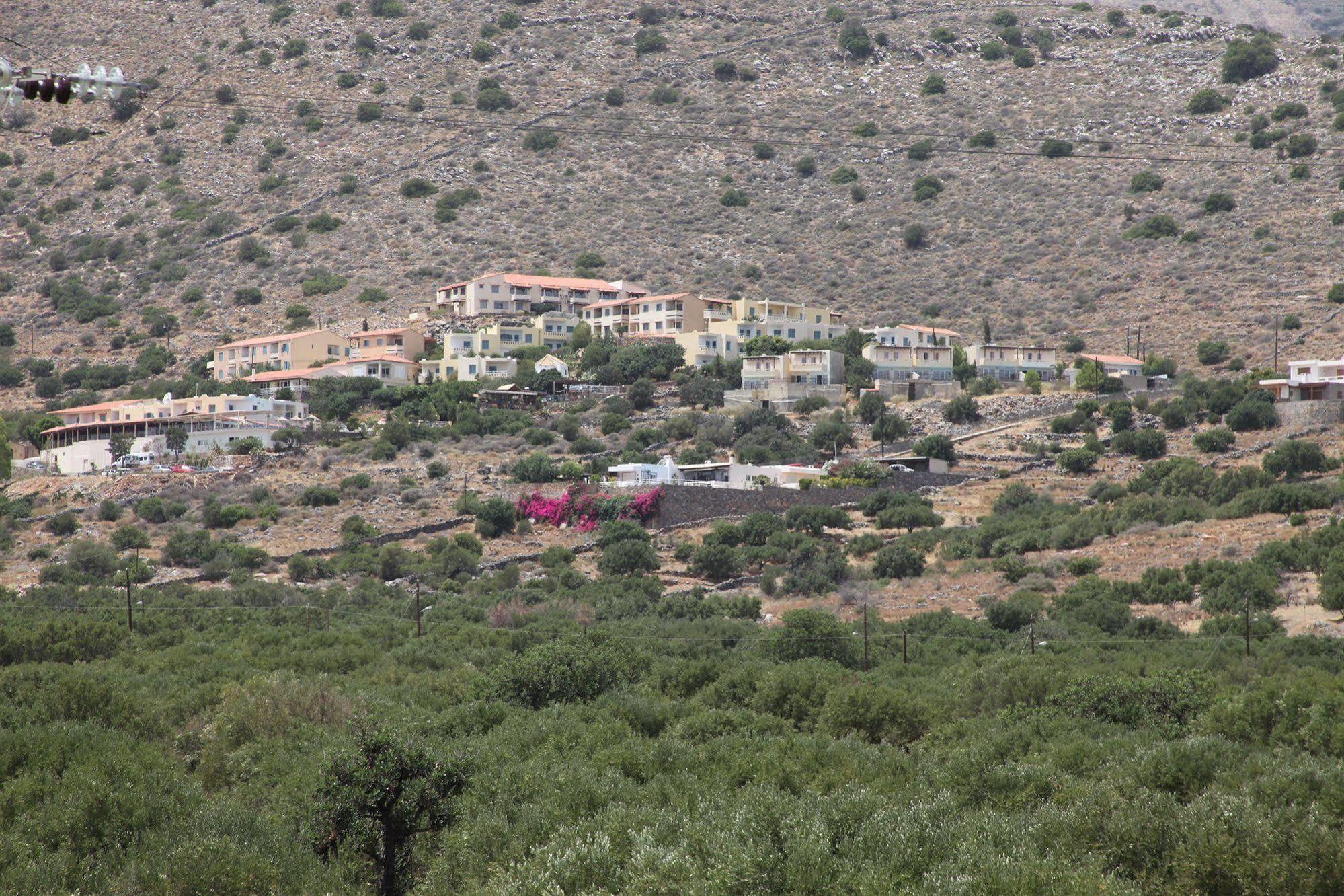 Elounda Olive Garden Apts & Studios Экстерьер фото